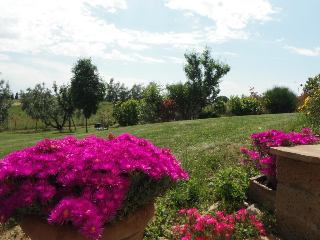 Locanda Degli Etruschi مونتالتو دي كاسترو المظهر الخارجي الصورة