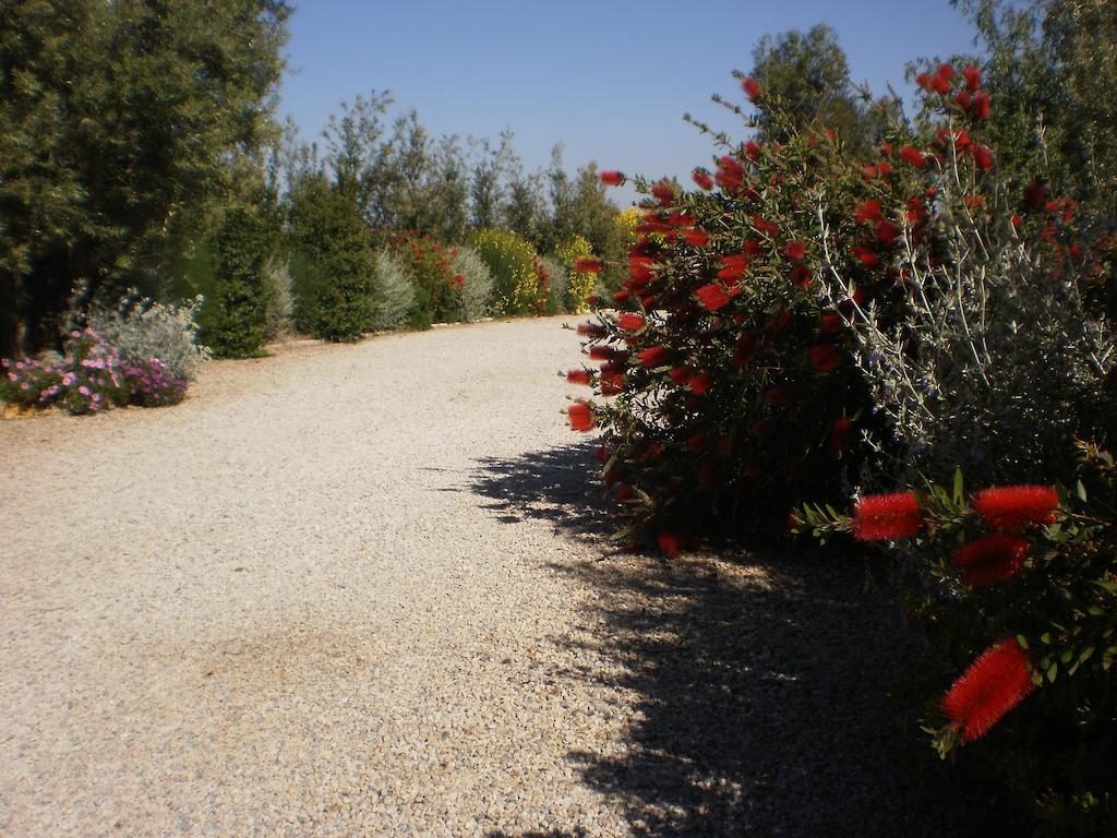 Locanda Degli Etruschi مونتالتو دي كاسترو المظهر الخارجي الصورة