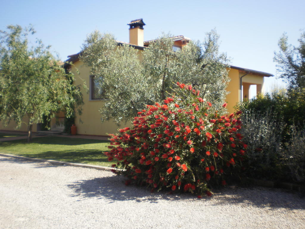 Locanda Degli Etruschi مونتالتو دي كاسترو المظهر الخارجي الصورة
