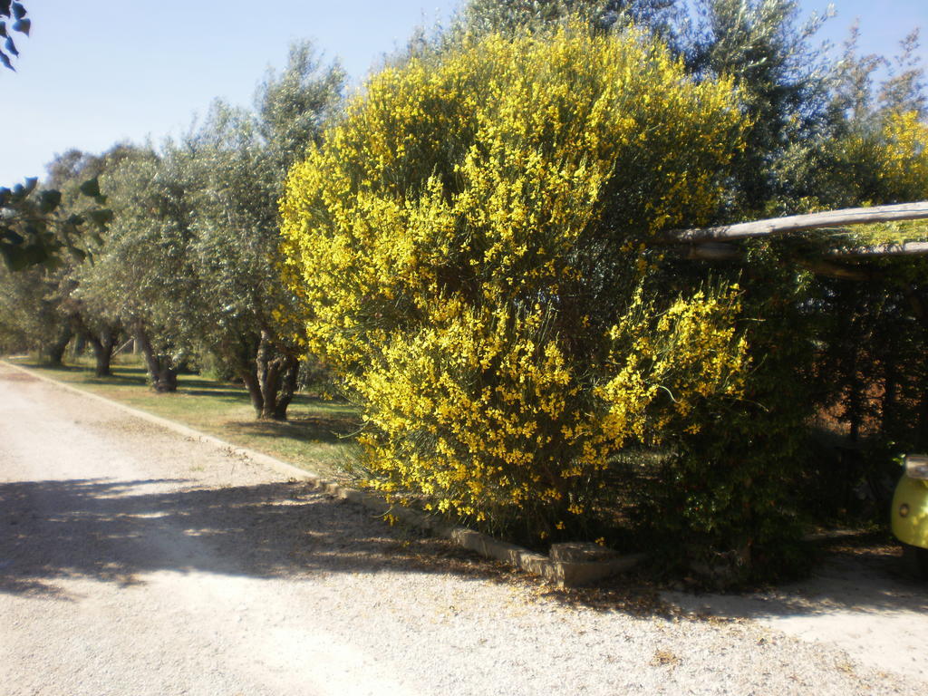 Locanda Degli Etruschi مونتالتو دي كاسترو المظهر الخارجي الصورة